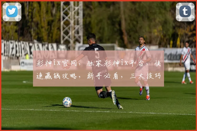 彩神ix官网，独家彩神ix平台，快速赢钱攻略，新手必看，三大技巧分享